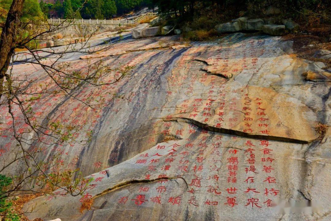 快速扣篮